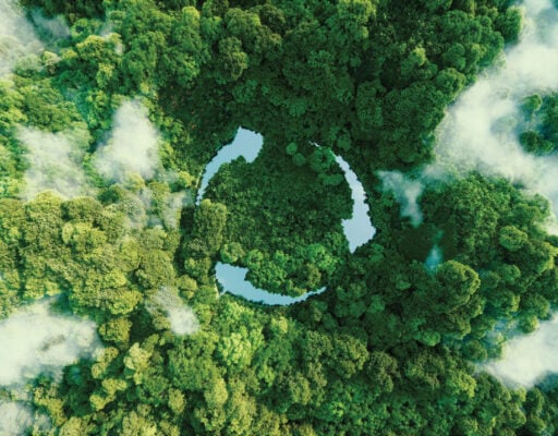 a aerial view of a forest