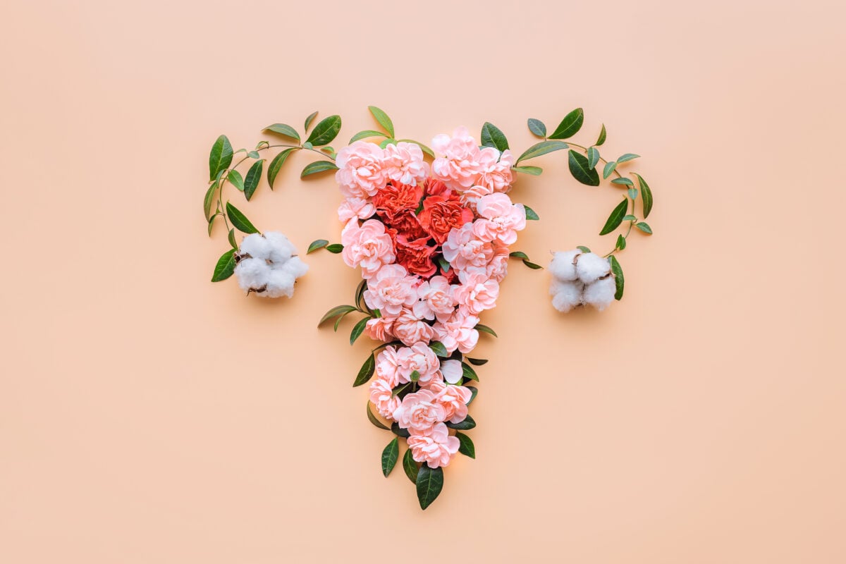 Abstract image of the uterus. female reproductive system made up of flowers and leaves. uterus conceptual image